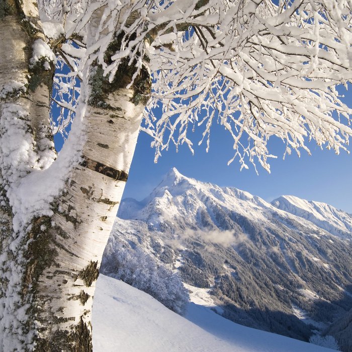 Dein Wellnesshotel in Mayrhofen – Das Hotel Strass Dein Wellnesshotel in Mayrhofen – Das Hotel Strass